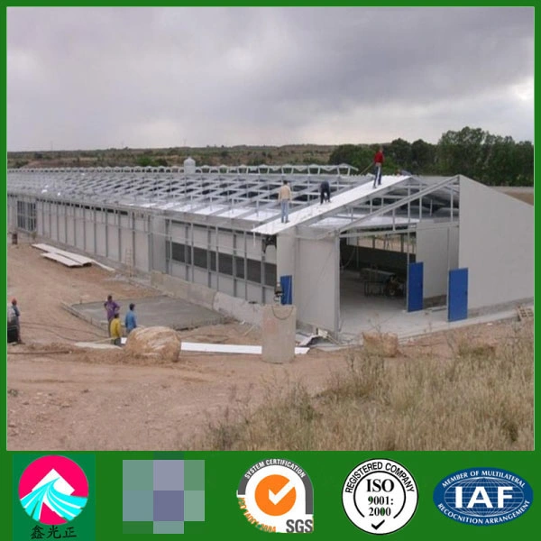 Customized Construções prefabricadas Estrutura de aço da engenharia de construção Avícola com marcação CE, CSA&amp;como certificado de qualidade elevada