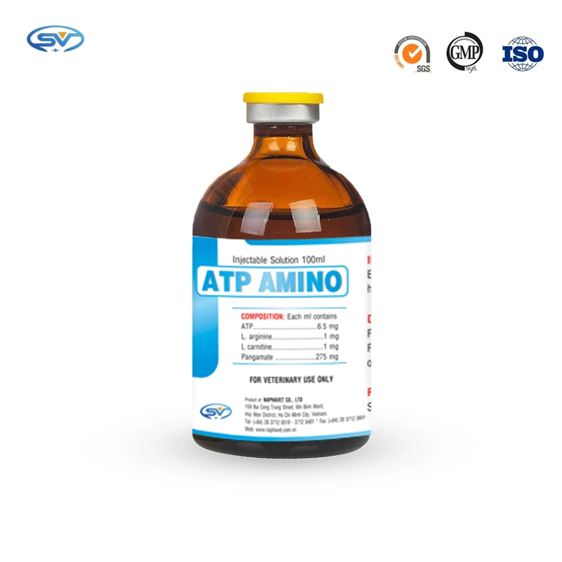 Caliente la venta de medicamentos veterinarios ATP inyectable para caballos, camellos, los perros, 100ml