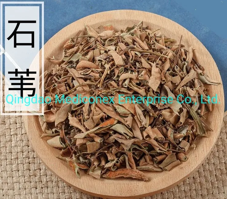 Lysimachia Christinae Herb Raw Materials Prepared Traditional Chinese Herbal Medicine Clearing Damp Prometing Diuresis