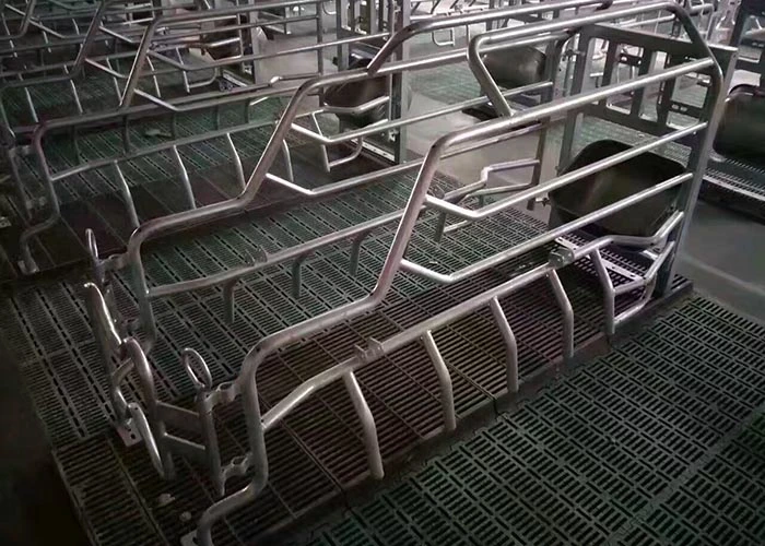 Pig Farming Equipment Farrowing Crate Price in Philippines
