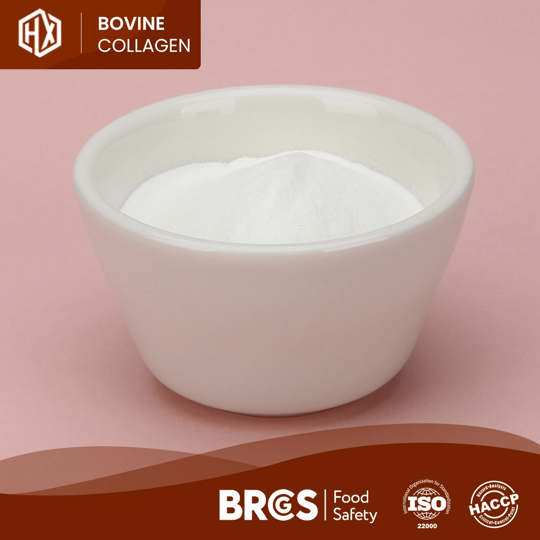 Haoxiang Bovine Bone Collagen Peptides Keratin Soothing Gel Frozen Organic Gold Collagen Powder China Manufacturer Ready to Ship Natural Collagen Peptides