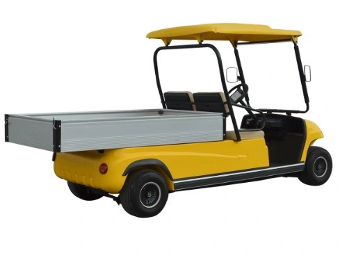 Levantado 2 asientos de carrito de golf con Van 48V 3,7kw DC Motor