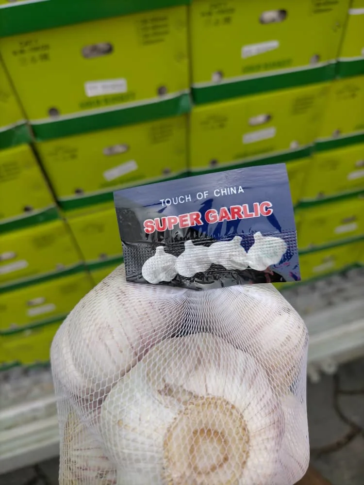 Wholesale/Supplier 4.5cm 5.0cm 5.5cm 6.0cm 10kg Carton Pure/Normal White Fresh Garlic Price