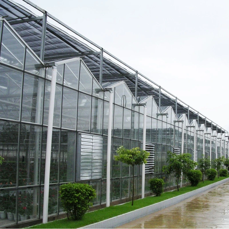 Invernadero agrícola cubierto de vidrio
