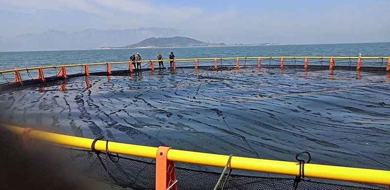 Piscifactoría de Mar profundo sistema de equipos de Agricultura flotante jaula