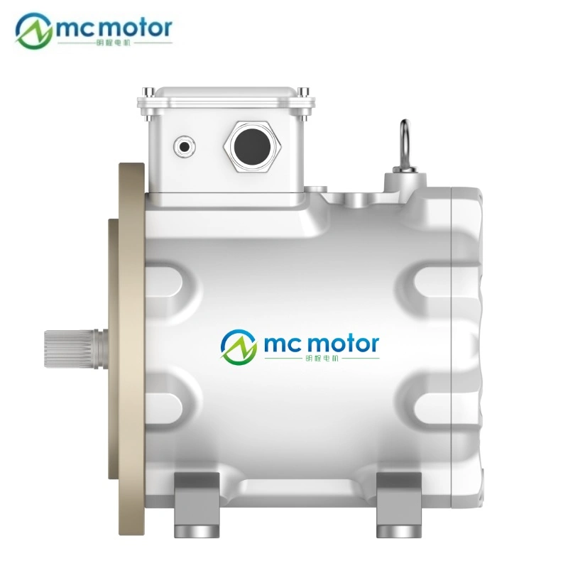 AC Well Designed 55kw 12000rpm Electromagnetic Motor for Pumps