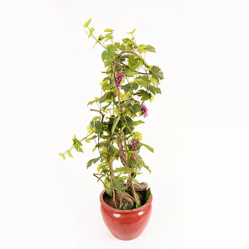 Home Decor violet artificielle raisins Tree Fruits Bonsai Tree Plante en pot