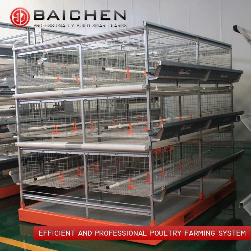 Sistema de jaulas de alimentación automática de batería para broilers en 3 niveles tipo H.