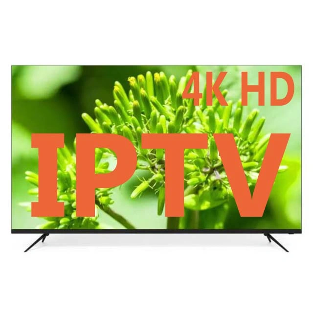 Abonnement Umetvpro IPTV 12 mois d'essai gratuit revendeur IPTV de bord fonctionne Stable Non Buffering Android IPTV Lien abonnement M3U