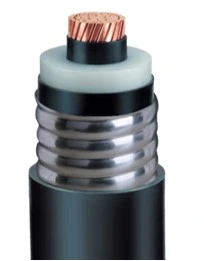 Cu/XLPE/CAS/PVC 66kv 110kv 132kv 220kv XLPE Insulated Underground Power Cable