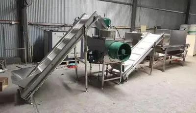 China fábrica vertical cadena Tipo Ajo Peeling máquina Ajo Peeler Máquina separadora