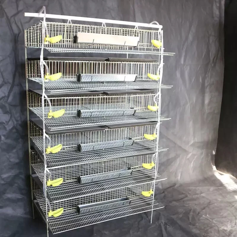 Factory Direct Low Price Layers Quail Cages for Quail Bird Farming H Type for Sale