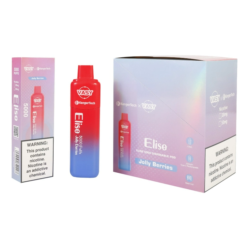 Wholesale/Supplier Vasy Elise 5000 Puff in Stock Disposable/Chargeable Vape Big Promotion
