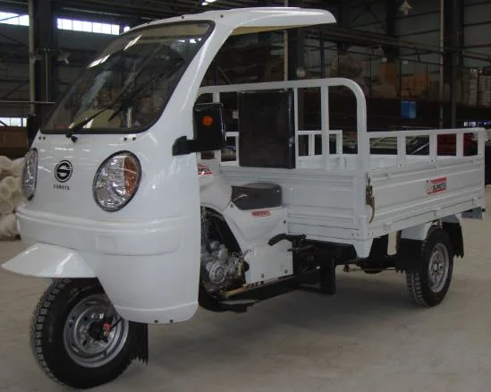 China fábrica adultos cargo Motorcar a Brasil Trike Auto Rickshaw Tricycles eléctricos