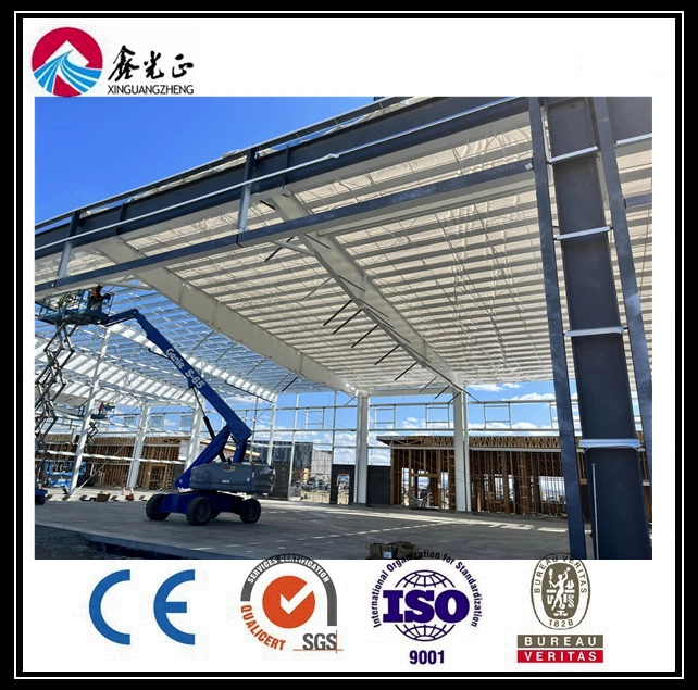 Almacenamiento Construcción Industrial Metal Construcción estructura ligera Acero estructura (BYSS-101)