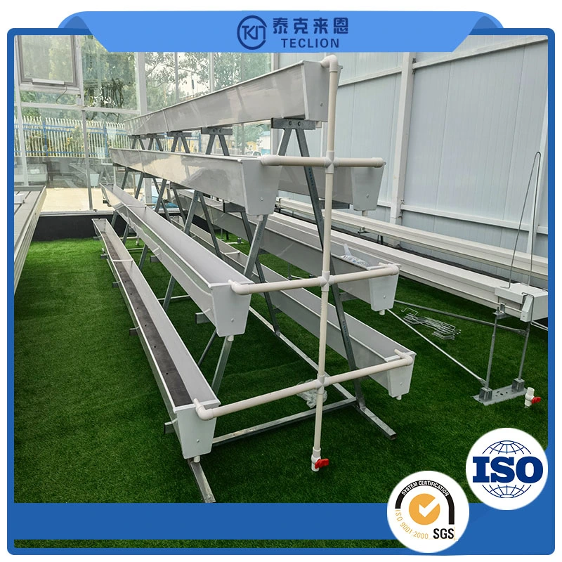 Soilless Cultivation and Hydroponics System of Vegetable Plants in Agricultural Greenhouse and Greenhouse