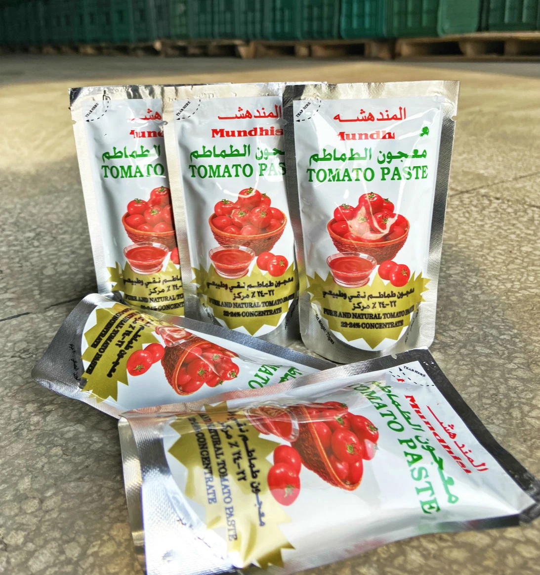 70g Tomato Paste OEM Brand