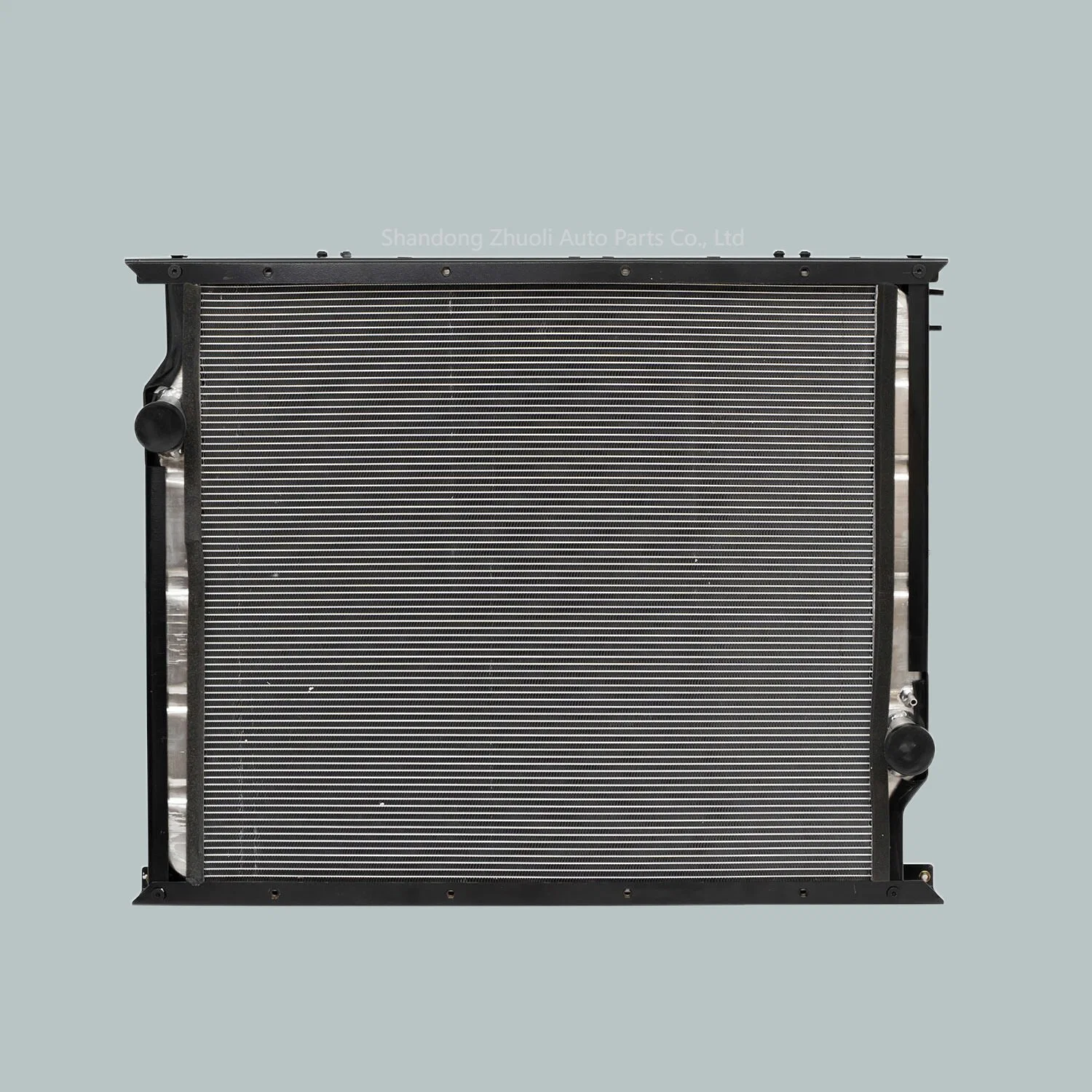 Wg9725530011 Wg9725530260 piezas de refrigeración automática para la refrigeración de agua Mercede M-Buggy Radiador del sistema