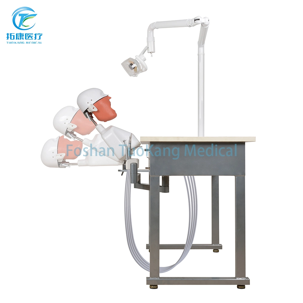 Medical Dental Simulation Unit Phantom Head Dental for Student Education Manual Phantom Head Simulator