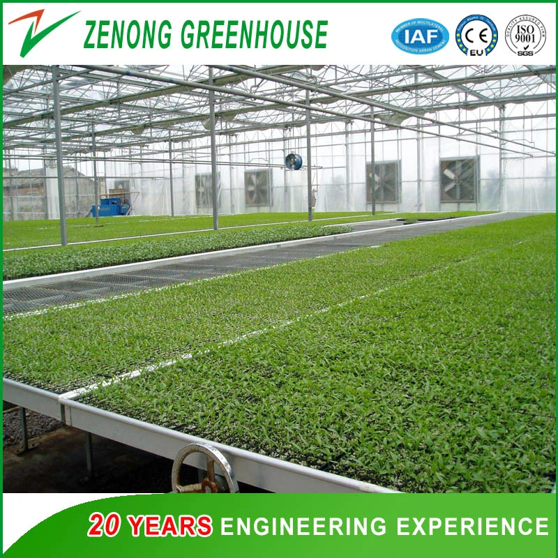 Gutter Connected PC Greenhouse with Automatic Ventilation/Cooling/Irrigation System for Seed Breeding