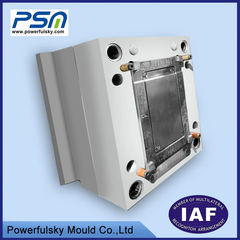 Powerfulsky ABS Plastic Injection Moulding