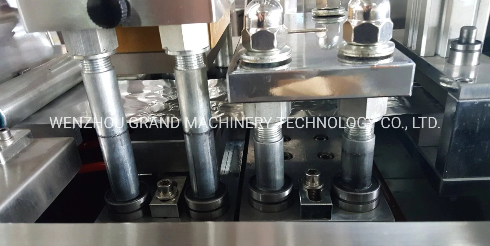 Automatic Blister Packing Machines for Medical Products