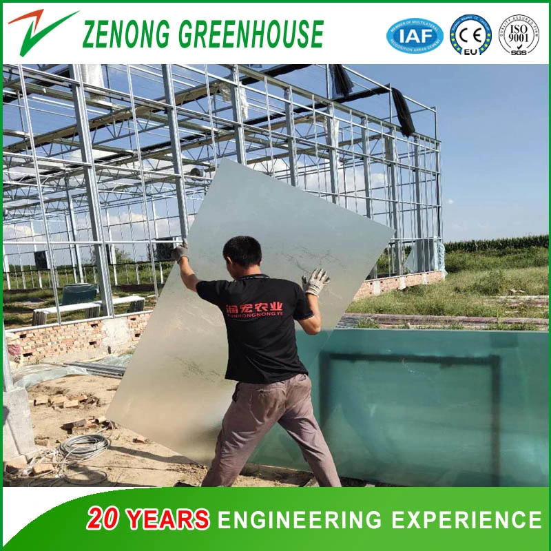 Intelligent Automatic Greenhouse Glass Greenhouse for Seedling Nursery/Eco Restaurant/Vegetable Fair