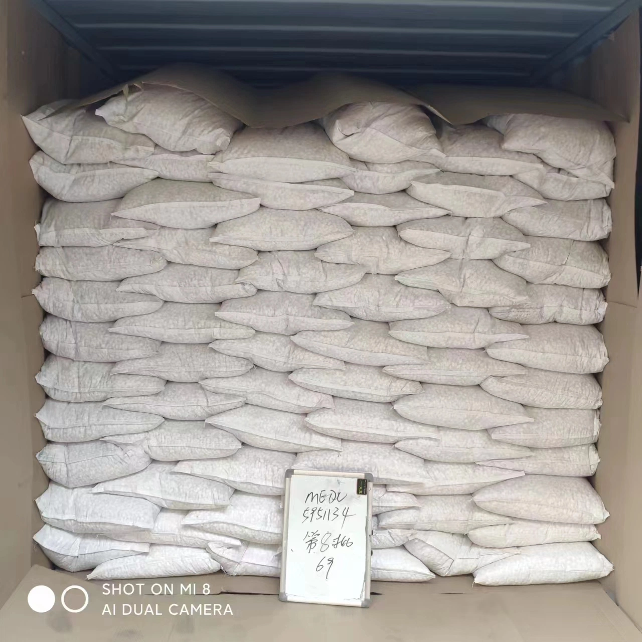 Halal Certificate Roasted Sunflower Seeds Wholesale