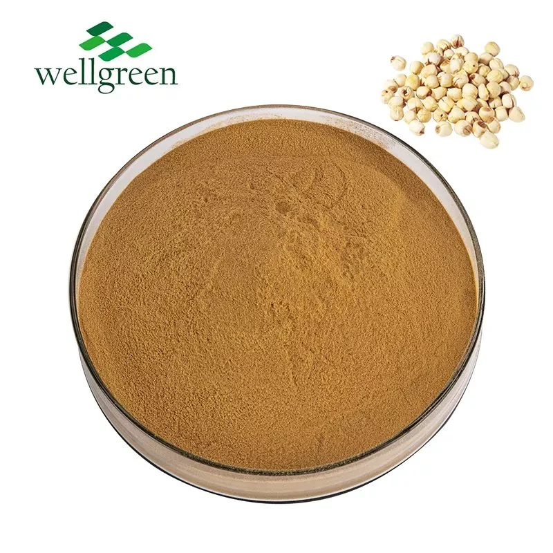 Cosmetic Ingredient Kosher Halal Semen Nelumbinis Protein Powder Lotus Seed Extract