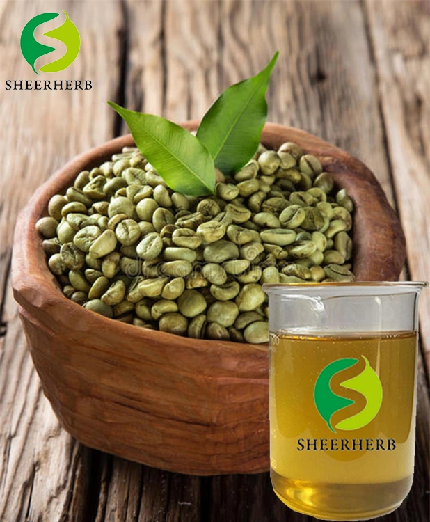 Sheerherb Venta caliente Venta al por mayor precio a granel verde Puro Aceite de granos de café orgánico y Natural Aceites portadores prensado en frío