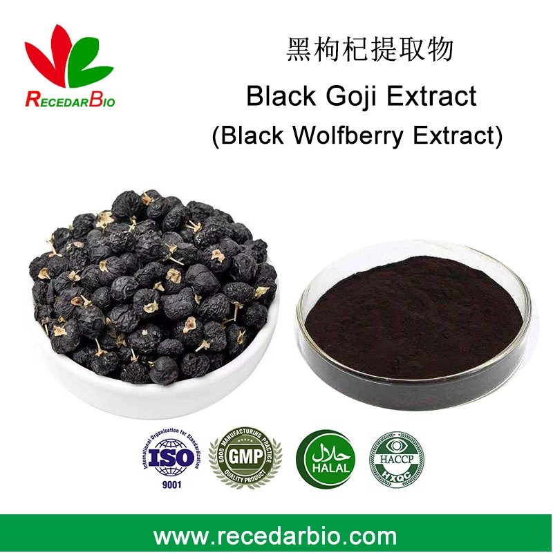 Natural Anthocyanidins 1-25% Powder Black Goji Extract Black Wolfberry Extract