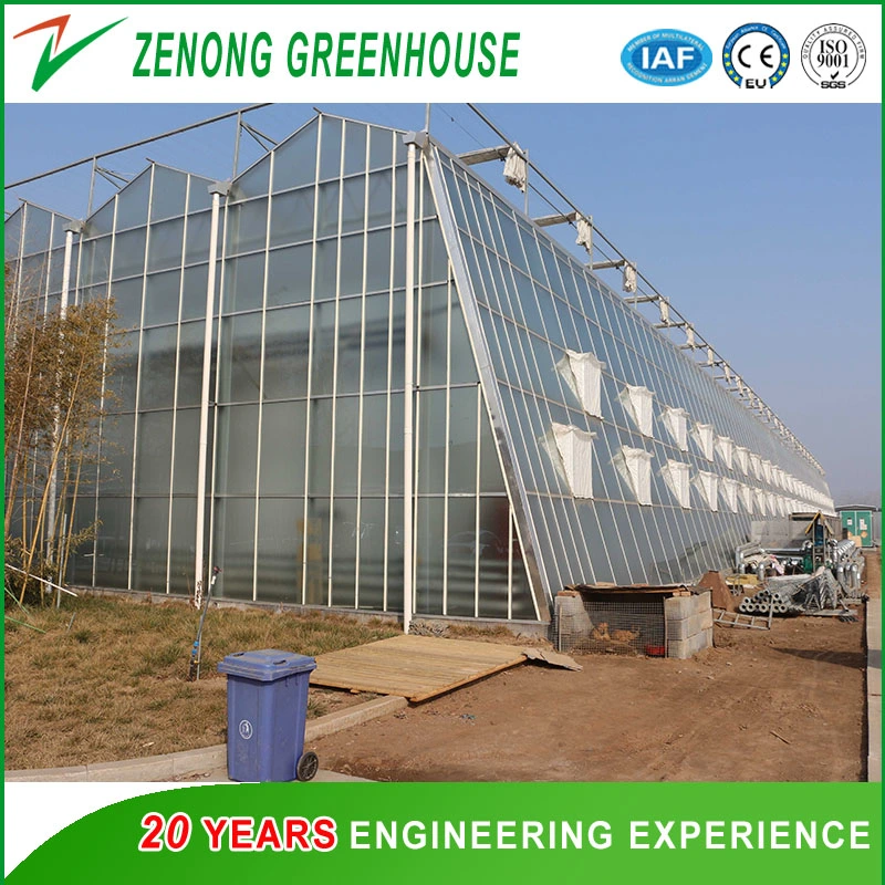 Large Size Glass Multi-Span Intelligent Greenhouse with Automatic Control system for Ecological Hotel/Sightseeing/Fruit