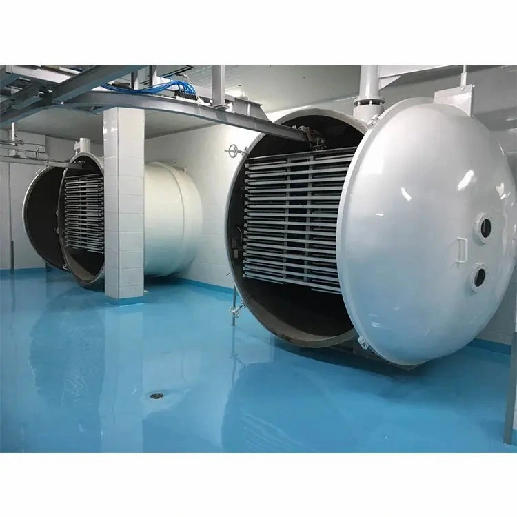 Industrial Microwave Tunnel Freeze Dryer Machine Cat Sand Drying Sterilization Equipment