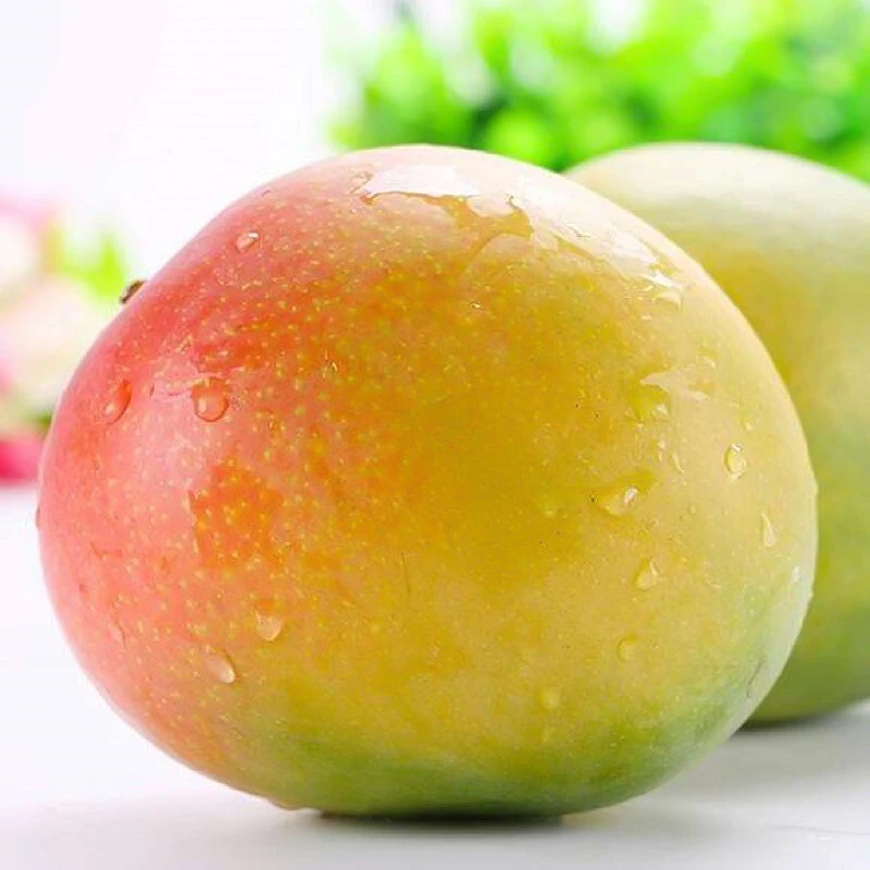 A Austrália Mango Giant Mango Frutas secas Mango Mango Slice Frutas Frescas com certificação FDA Apple Limão Uva