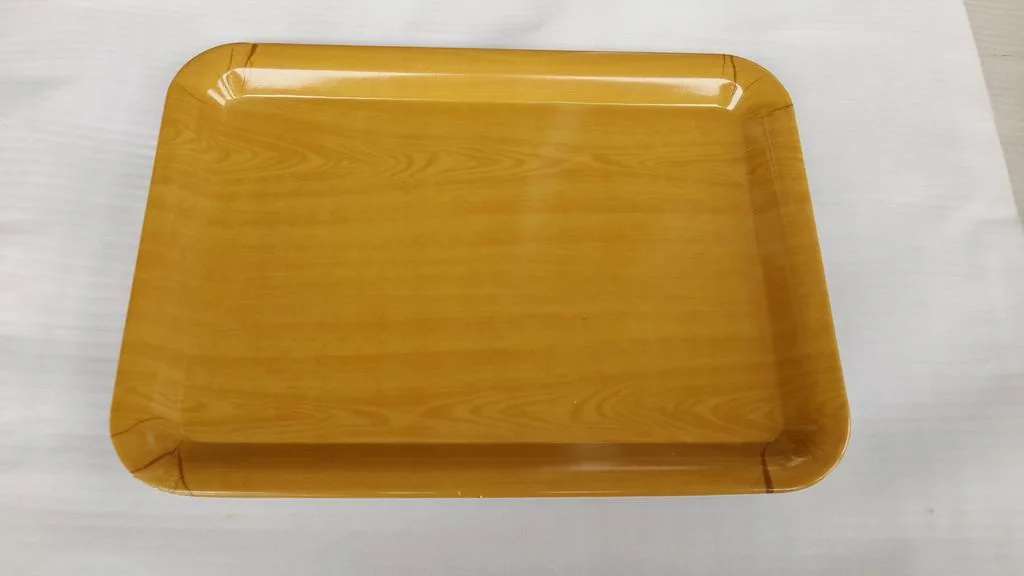 High Quality Hot Melamine Tray