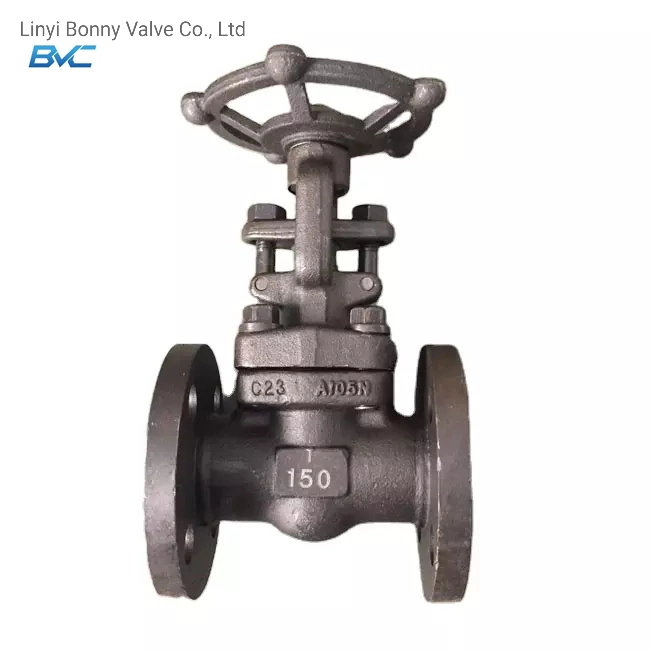 Double Flanges Globe Valve with A105 1500lb