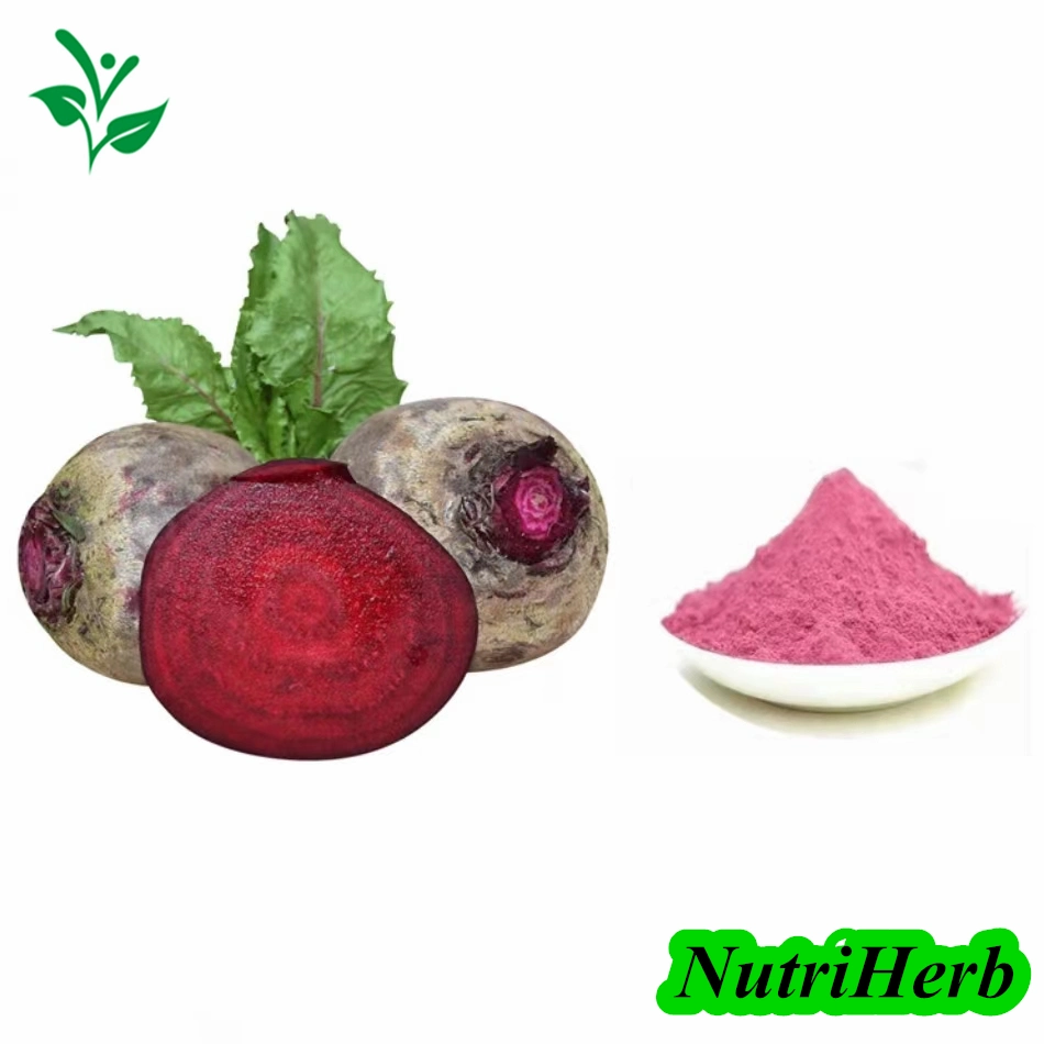 Polvo de raíz de beetroot roja certificado orgánico polvo de jugo de raíz de beetroot roja