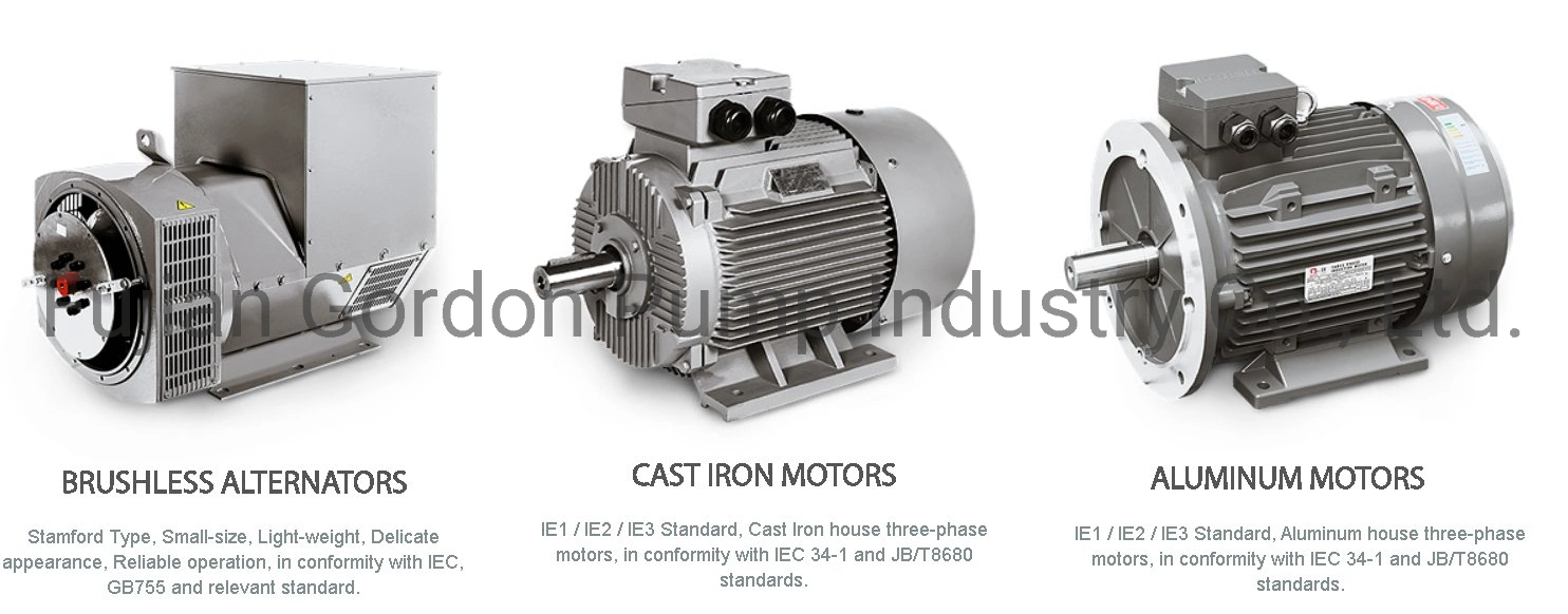 Aluminum Housing Three Phase Electric Motor