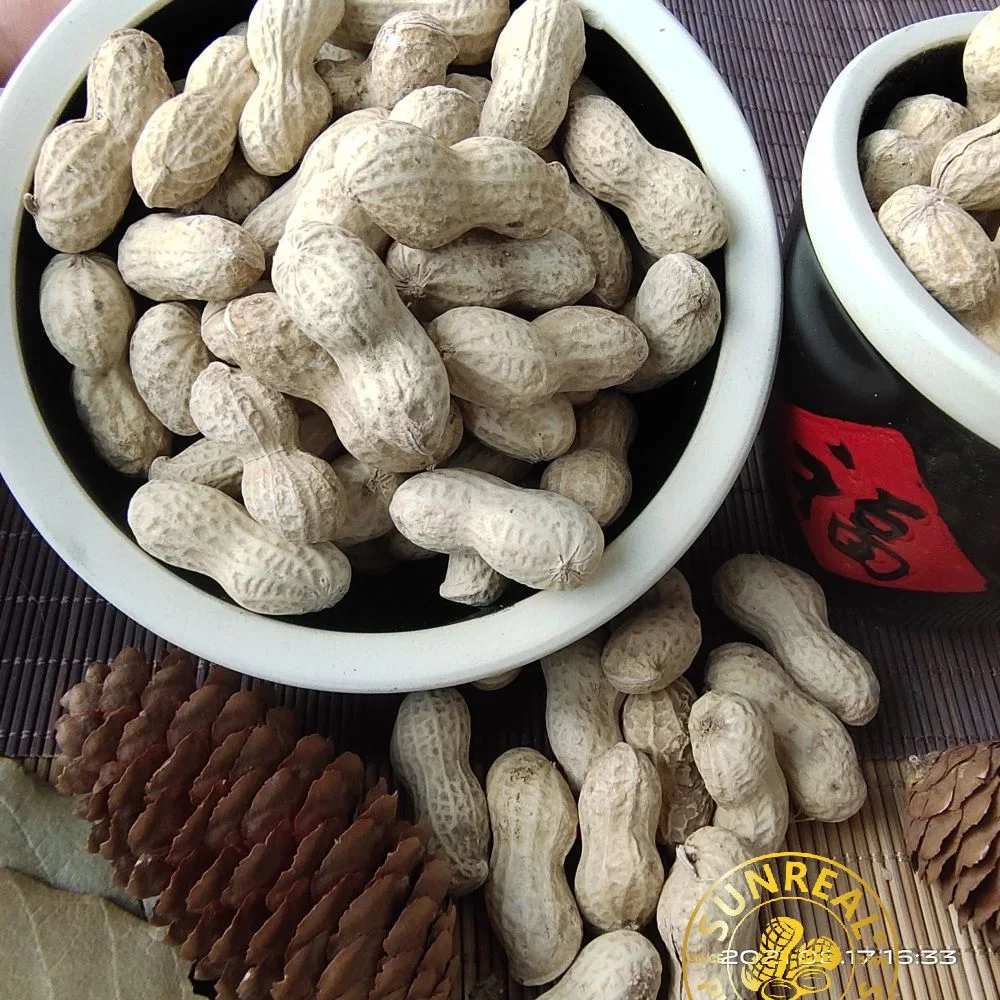 China Roasted Java Peanuts in Shell/Bold Peanut in Shell/Crispy 40/50 Good Taste