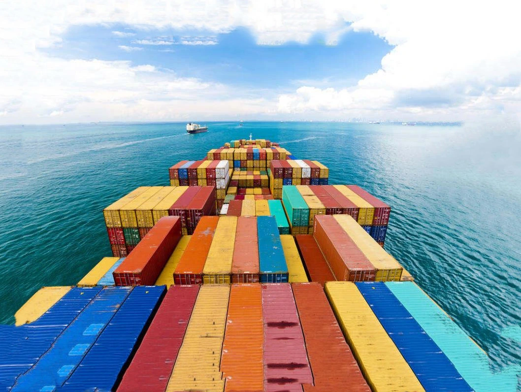 China Cheap Sea Freight International Shipping Forwarding Agent in Qingdao to Umiddle East Market