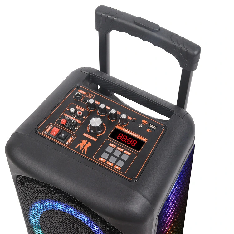 Portable PA Speaker System Karaoke Machine for Christmas Party Wedding Gathering