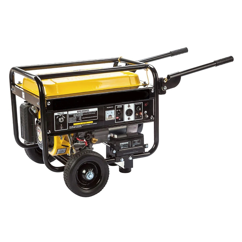 Gasoline Petrol LPG Natural Gas Engine Dual Fuel Gasoline Generator Set