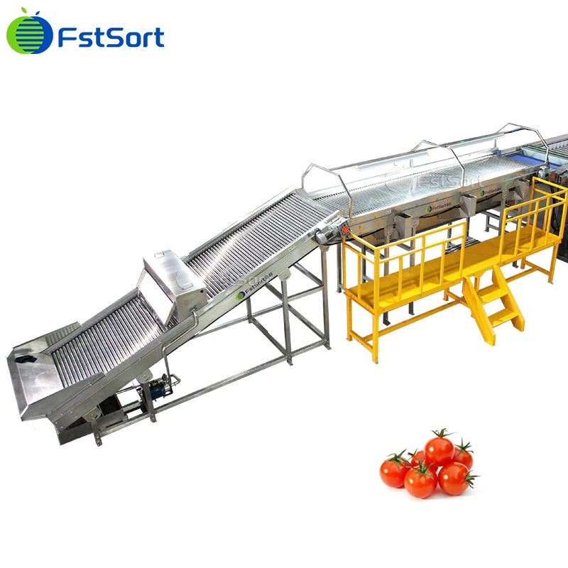 Cherry Tomatoes Grading Sorting Machine Adjustable Size Roller Classifier Cherry Tomatoes Processing Equipment