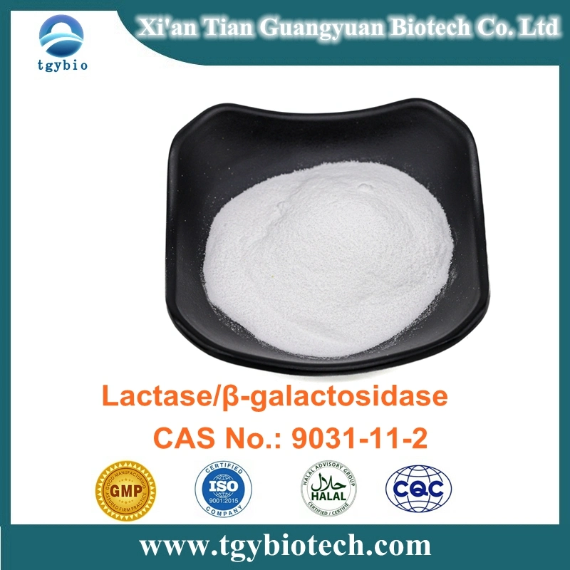 Factory Supply Bulk Enzyme Lactase Powder Lactase CAS 9031-11-2