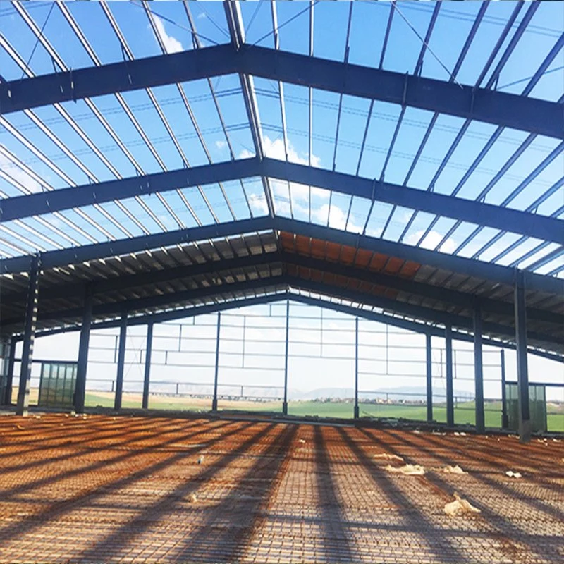 Algeria Prefabricated Steel Structure Workshop Prefab Metal Construction Building Price for Sale