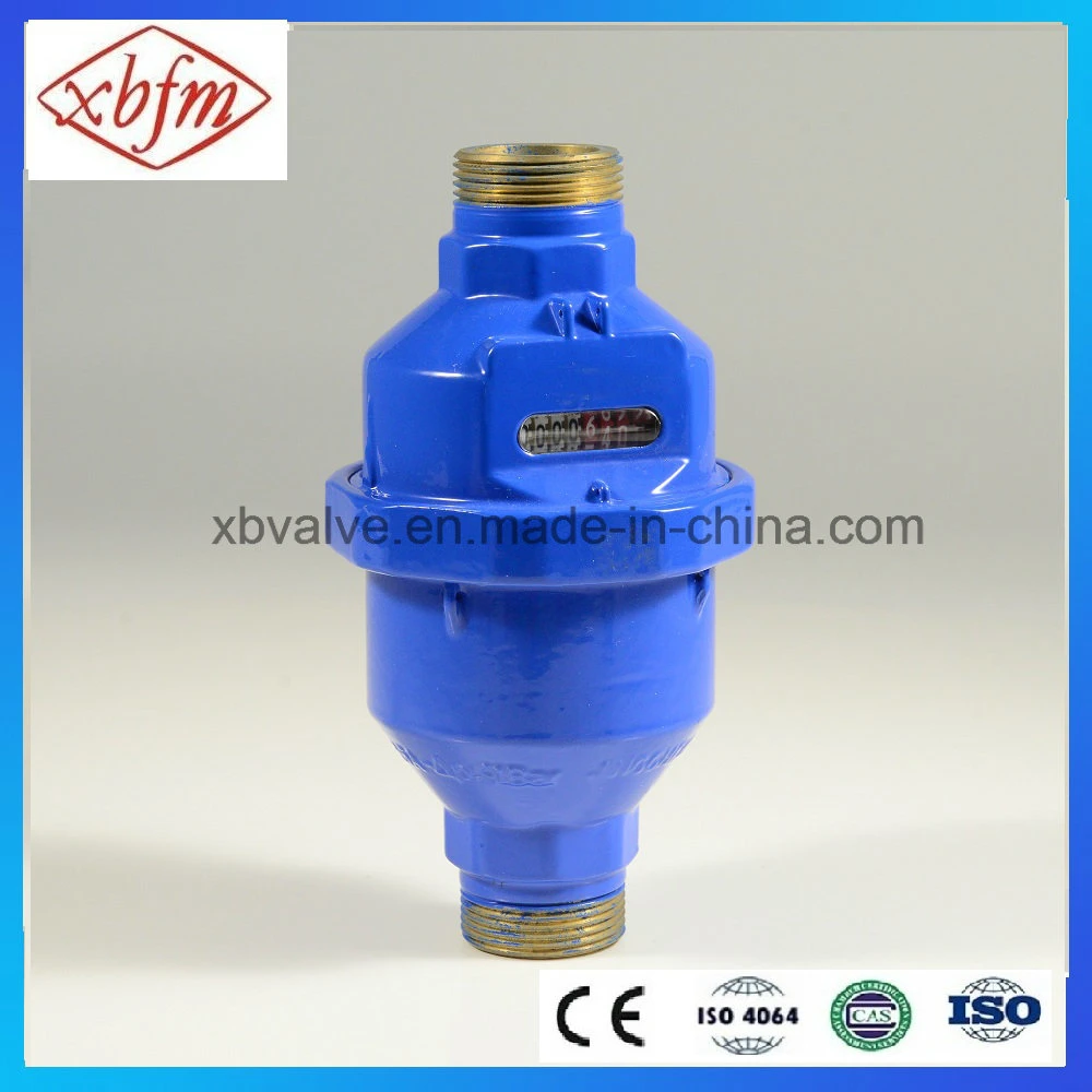 Volumetric Rotary Piston Water Meter with Brass Body (LXH-25)