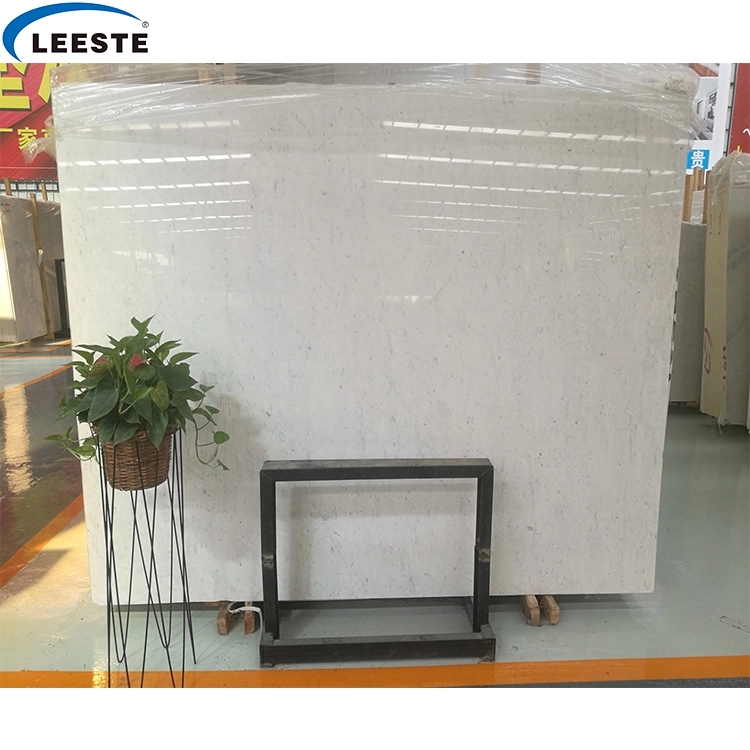 Popular Natural Bianco Carrara White Marble Slab and Tile for Hotel Wall Floor Decorate