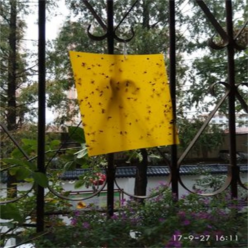 Wholesale Eco-Friendly Yellow Insect Sticky Traps