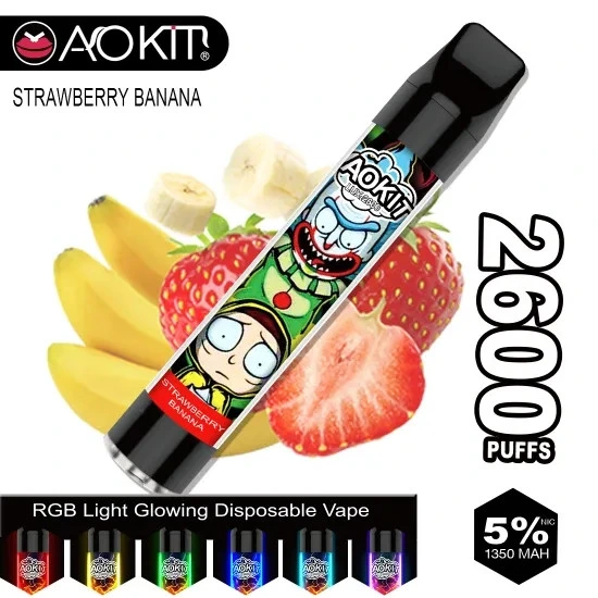 2600 Puffs Melon Ice Flavor Ecig Electronic E Cigarette Disposable/Chargeable Vape Pen