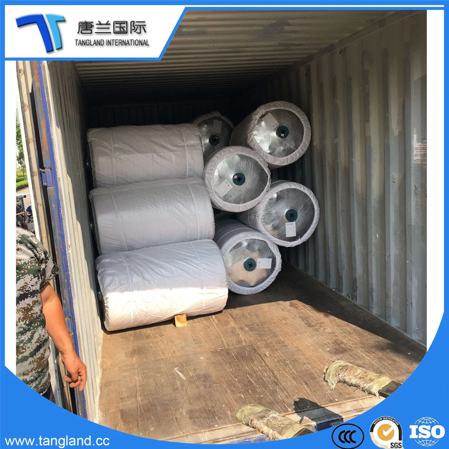 2ply Nylon6/PA6/Polyamide Greige/Chafers/Grey Cloth/Dipped/Dipping Tire/Tyre Cord Fabric